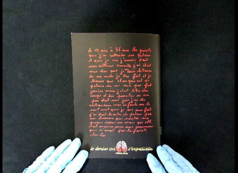 Texte d’Adolpha Van Meerhaeghe, lettrage et dessins de Rémi: Adolpha (le dernier cri)