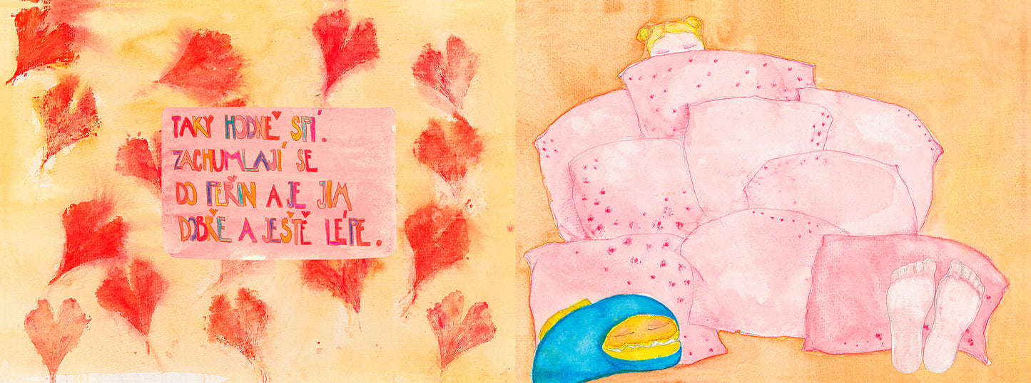 Jitka Čapková: Alice got a fish