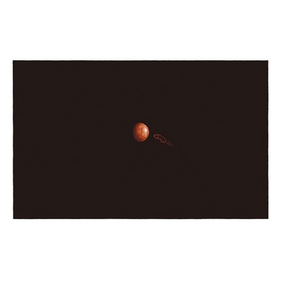 Pavel Reisenauer: Moses Reisenauer’s Ten Commandments, VI.