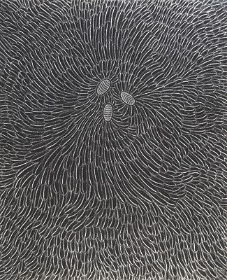 Charlotta Kotíková: Jan Hísek