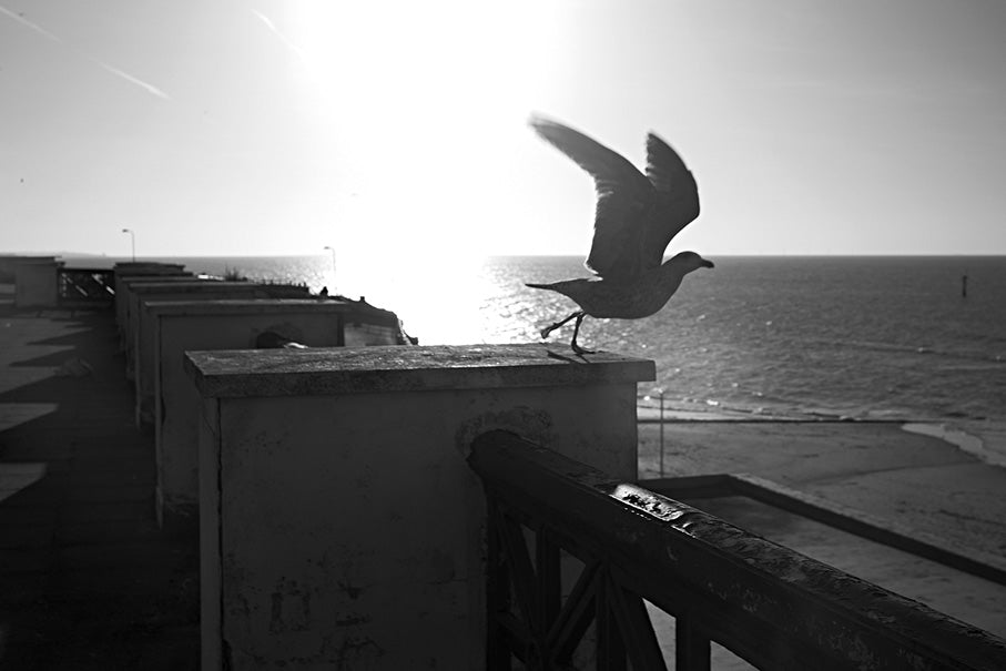 Lewis (Lev) Parker: Pasák čtvrté průmyslové revoluce