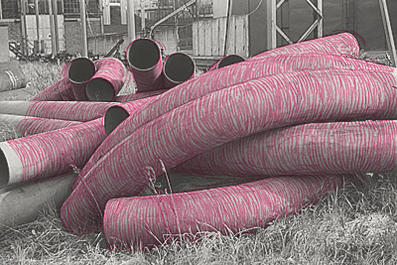 Veronika Zapletalová: Tubers