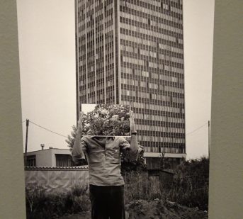 Vladimír Ambroz: Akce / Action