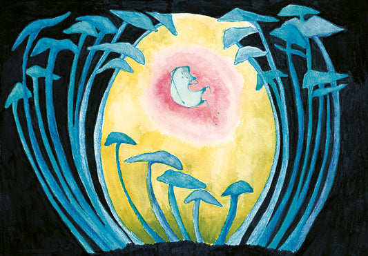 Jitka Čapková: Foggy (2025)