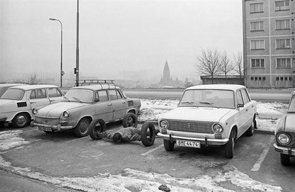 Vladimír Ambroz: Akce / Action