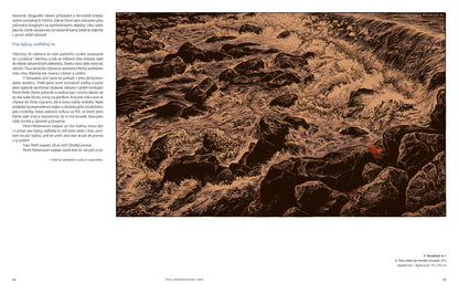 Pavel Reisenauer: Tvorba pro Respekt, obrazy, kresby, ilustrace, fotografie