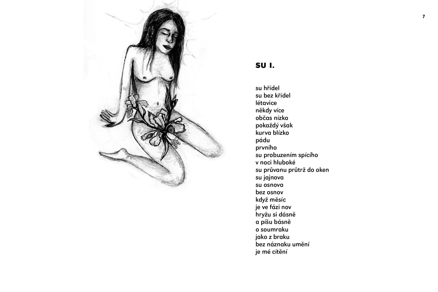 Tereza Smetanová: Su  a víc, chci a nic