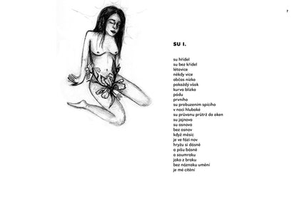 Tereza Smetanová: Su  a víc, chci a nic