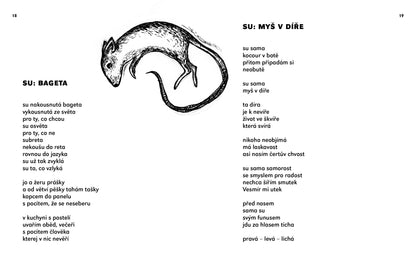 Tereza Smetanová: Su  a víc, chci a nic