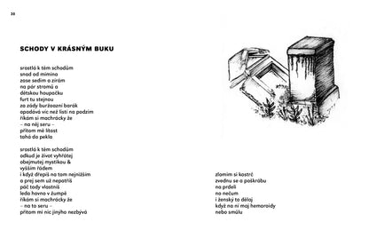 Tereza Smetanová: Su  a víc, chci a nic