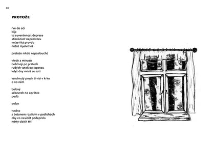 Tereza Smetanová: Su  a víc, chci a nic