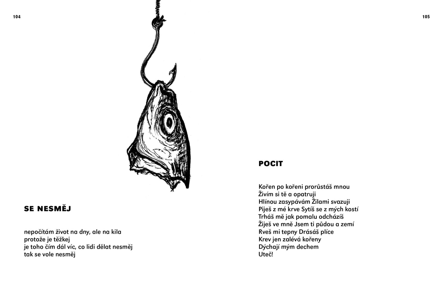 Tereza Smetanová: Su  a víc, chci a nic